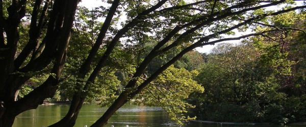 An enjoyable stroll through the Parc Montsouris