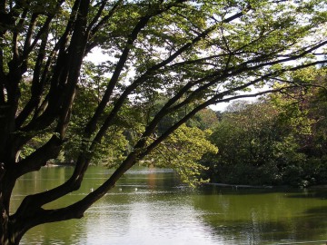 An enjoyable stroll through the Parc Montsouris