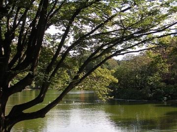 Une balade si agréable au Parc Montsouris
